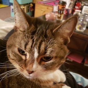 Meet your Posher, Jody